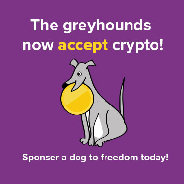 The greyhounds now accept crypto