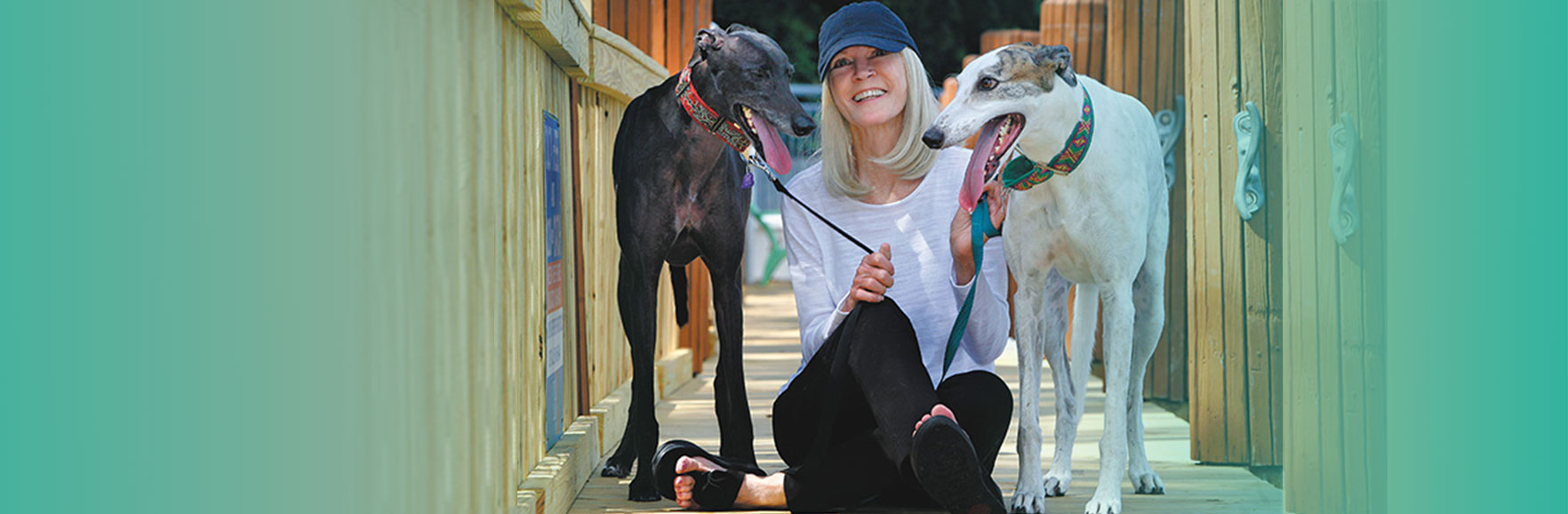 What you can do to end dog racing