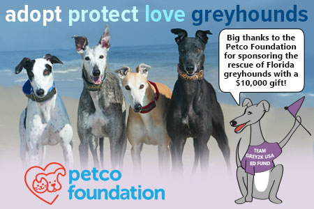 Petco Foundation sponsors Florida greyhounds