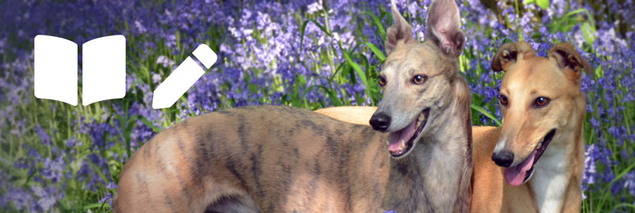 greyhound poems